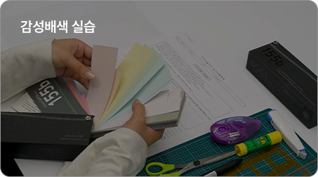 °¨¼º¹è»ö ½Ç½À