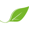 б