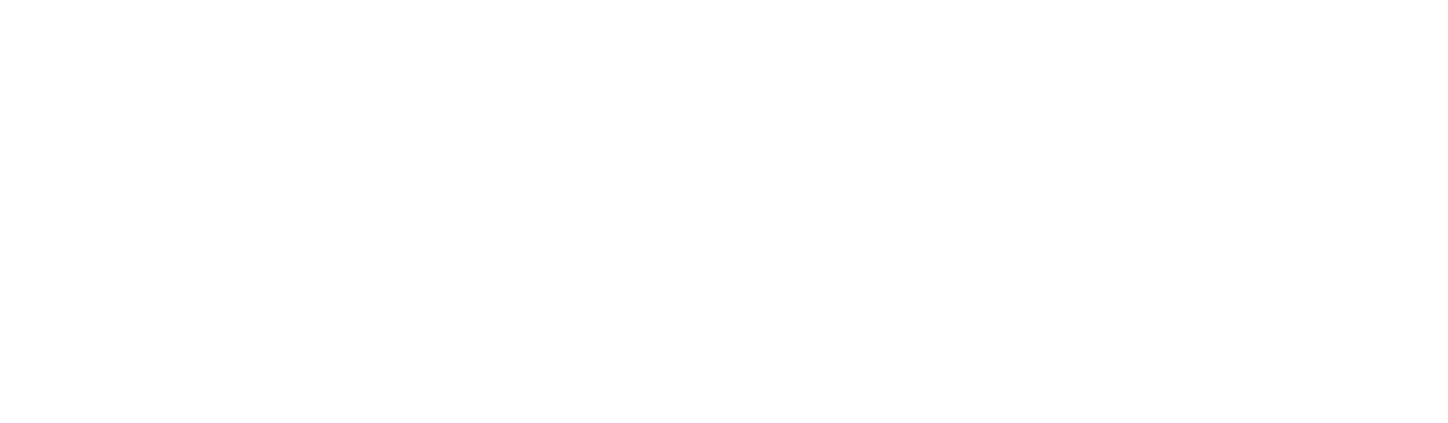  Ʈ  